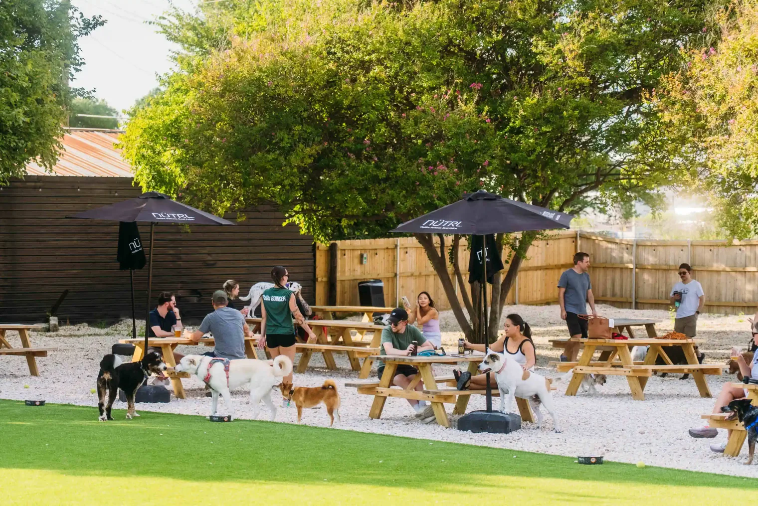 photoby onwardgroup dsc07836