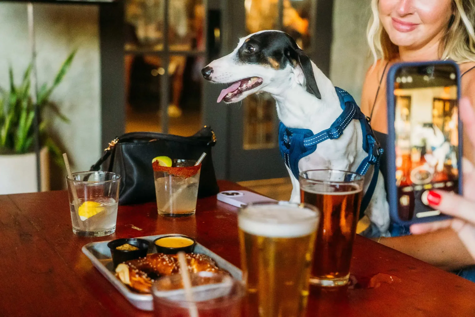 photoby onwardgroup dsc07945