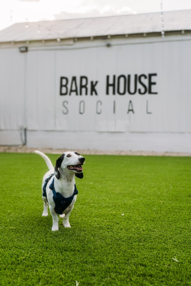 photoby onwardgroup dsc07881